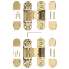 Петля врезная скрытой установки Apecs 110*30-3D-Z-GMS (R15)