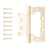 Петля накладная Apecs 100*75*2,5-B2-Steel-GMS