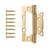 Петля накладная Avers 100*63*2-B2-G
